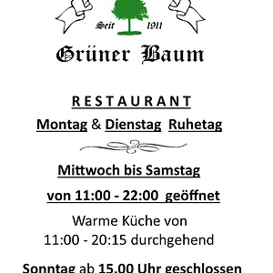 Hotel Landgasthof Grüner Baum ***